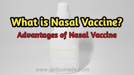 what_is_nasal_vaccine