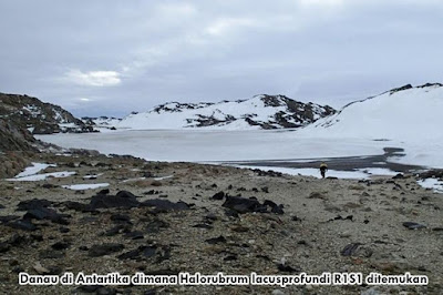 Mikroba Misterius di Antartika Menjadi Kunci Asal Virus