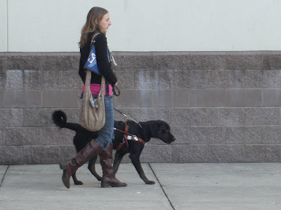 Picture of Rudy & I doing a forward walk, Rudy is in harness