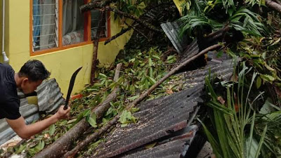  Angin Kencang Pohon Tumbang, Dinsos Berikan Bantuan Logistik Korban Bencana Alam