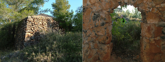 LA BISBAL DEL PENEDÈS - PUIG FRANCÀS - COVA GRAN - PUIG DE LA COVA - MAS BARTOMEU, barraca de pedra seca - barraca del Padri Papet