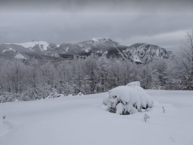 panorama sul Monte Maggiorasca innevato