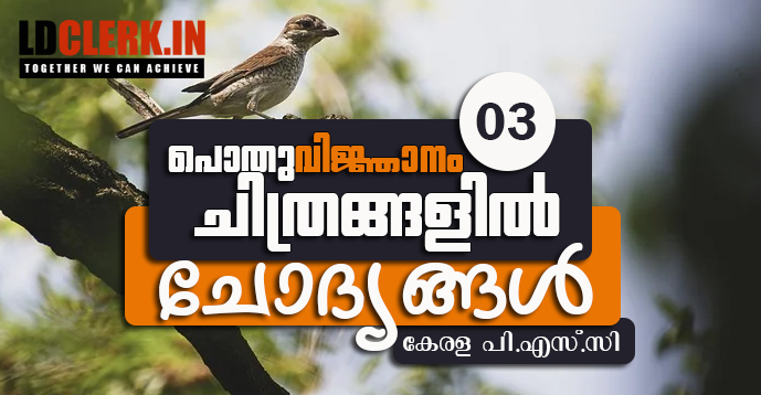 Kerala PSC | 10 General Knowledge Question & Answers in Images | 03