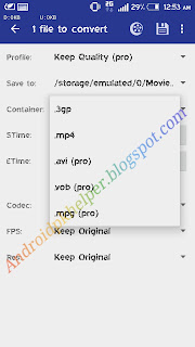 formats mp4 mpeg4