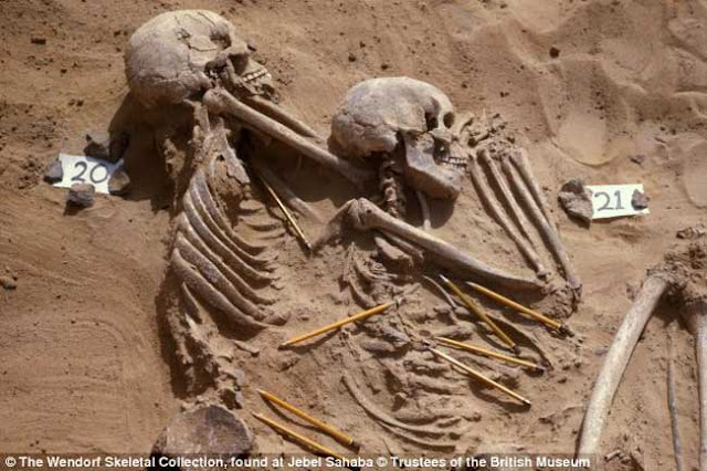 Penemuan tengkorak manusia berusia 1000 tahun dengan kesan retak dipisahkan oleh anak panah