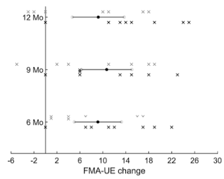 VNS FMA-UE