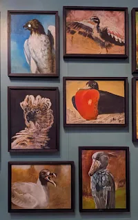 Bird paintings at the Museum of Natural History in London