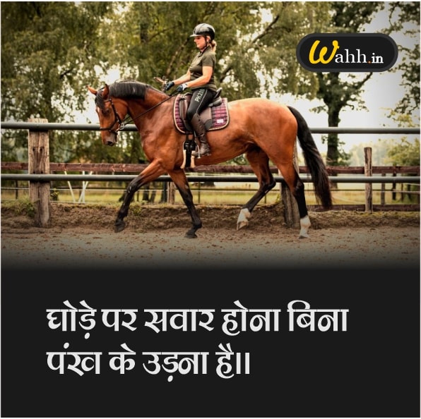 Best Horse Quotes In Hindi