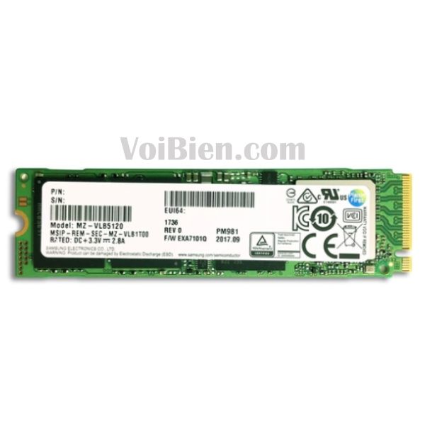 SSD Giá Tốt