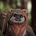 Wicket the Ewok Is the Newest Star Wars Statue from Gentle Giant LTD