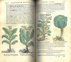 Two-page spread showing hand-colored plants