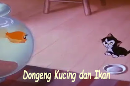 Dongeng Kucing dan Ikan Versi kak Rasyid