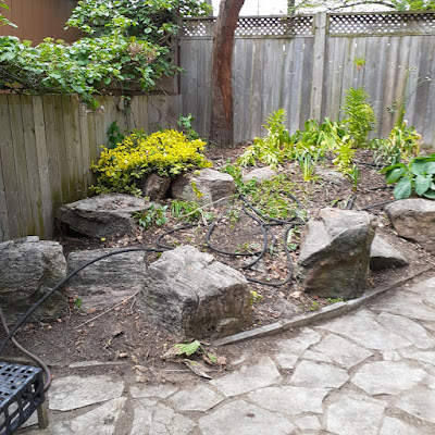 Toronto Riverdale Back Garden Spring Cleanup After by Paul Jung--a Toronto Organic Gardener