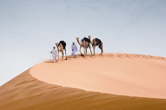 abu dhabi deserto