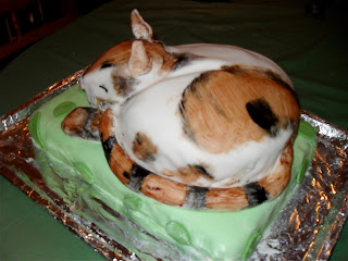 cat cake with tutorial