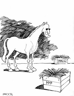 dailytimes cartoon pakistan newspaper