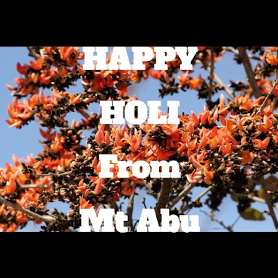 Happy Holi from Mt Abu