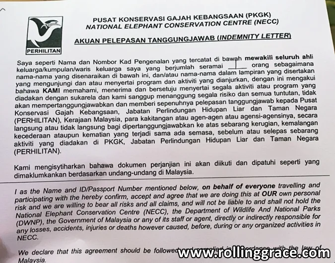 kuala gandah elephant sanctuary packages