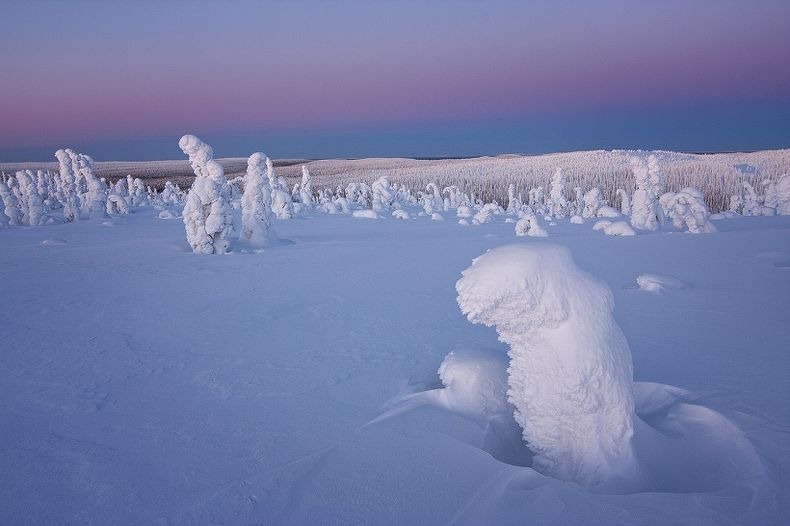 Sentinels-of-the-Arctic-1 Sentinels-of-the-Arctic-1