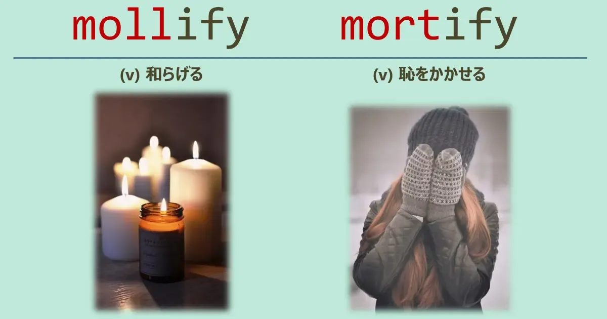 mollify, mortify, スペルが似ている英単語