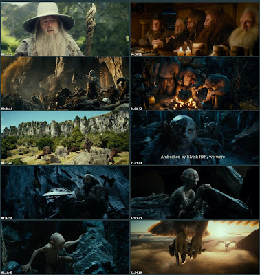 The Hobbit : An Unexpected Journey (2012)