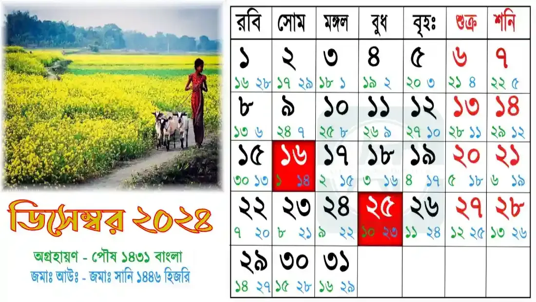 ছবি-১৩