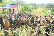 Dandim 0612/Tsm Letkol Inf Raden Henra Sukmadjidibrata Panen Raya Jagung Dan Penanaman Pohon Di Desa Padawaras