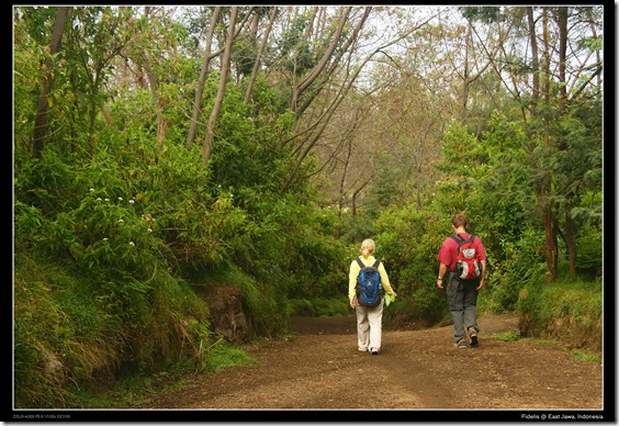 ijen26