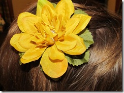 crafts 052