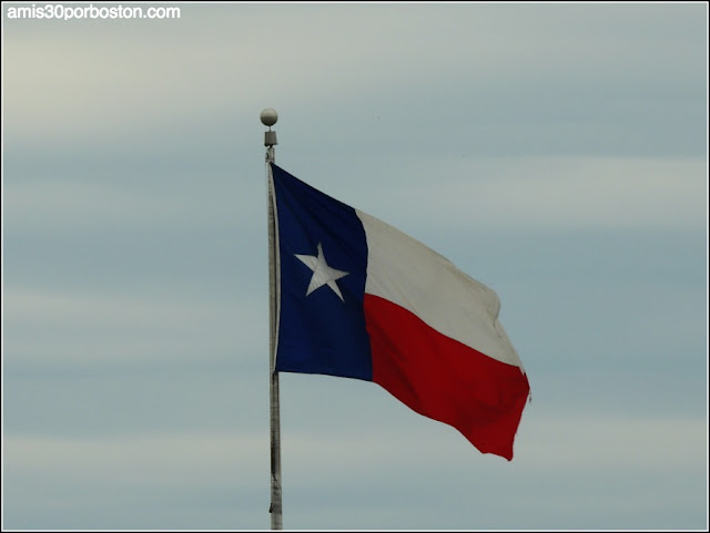 Bandera del Estado de Texas