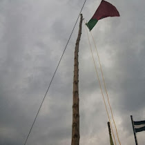 அதிரை SDPI கட்சி கொடியேற்றம்!