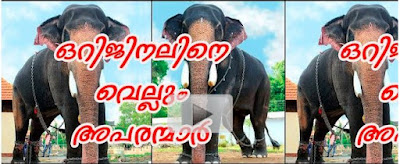 Kerala Elephants Video