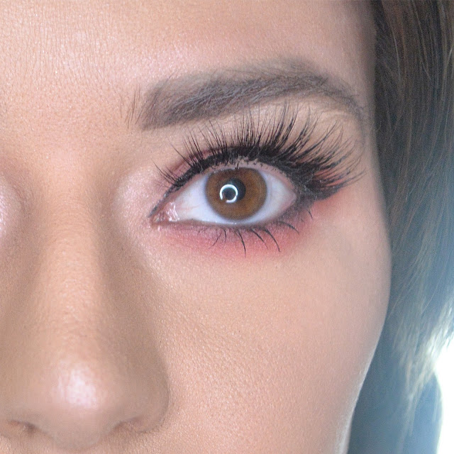 Brand ON Trial : PRO-Lashes* 3D Glam #114 Angel Falsies Lovelaughslipstick Blog