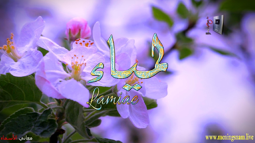 معنى اسم, لمياء, وصفات, حاملة, هذا الاسم, Lamiae,