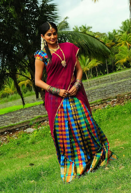 Actress Priyamani Half Saree Photos