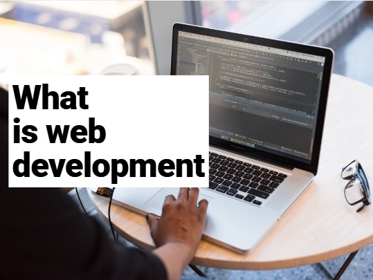 What is web development