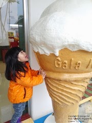CAM08839
