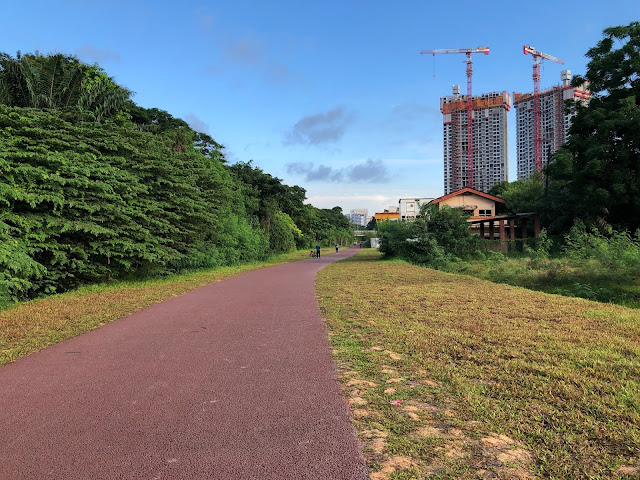 avenue south new buildings under construction