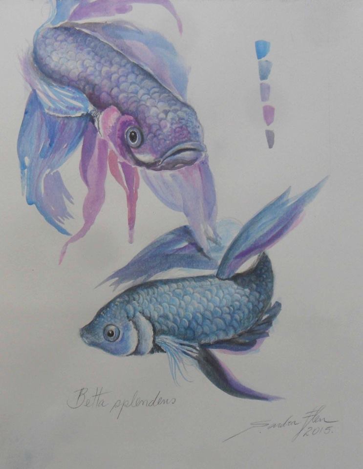 Exercício em aquarela