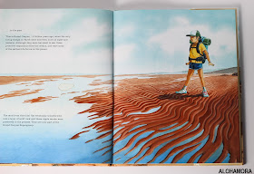 Grand Canyon by Jason Chin won a Caldecott Honor book in 2018. This illustrated nonfiction book is fantastic.  There is a ton of information including ecology, history, geology, animals, biology, maps, and so much more.  Fascinating book 3rd, 4th, 5th, 6th, and 7th graders will enjoy.  Teachers and those living in AZ will enjoy it immenseley.  Fantastic book! Check it out! AZ Grand Canyon, History. Alohamora Open a Book, Alohamoraopenabook http://alohamoraopenabook.blogspot.com/