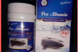 Jual Kapsul Pro Albumin Di Banyuwangi | WA : 0857-4839-4402