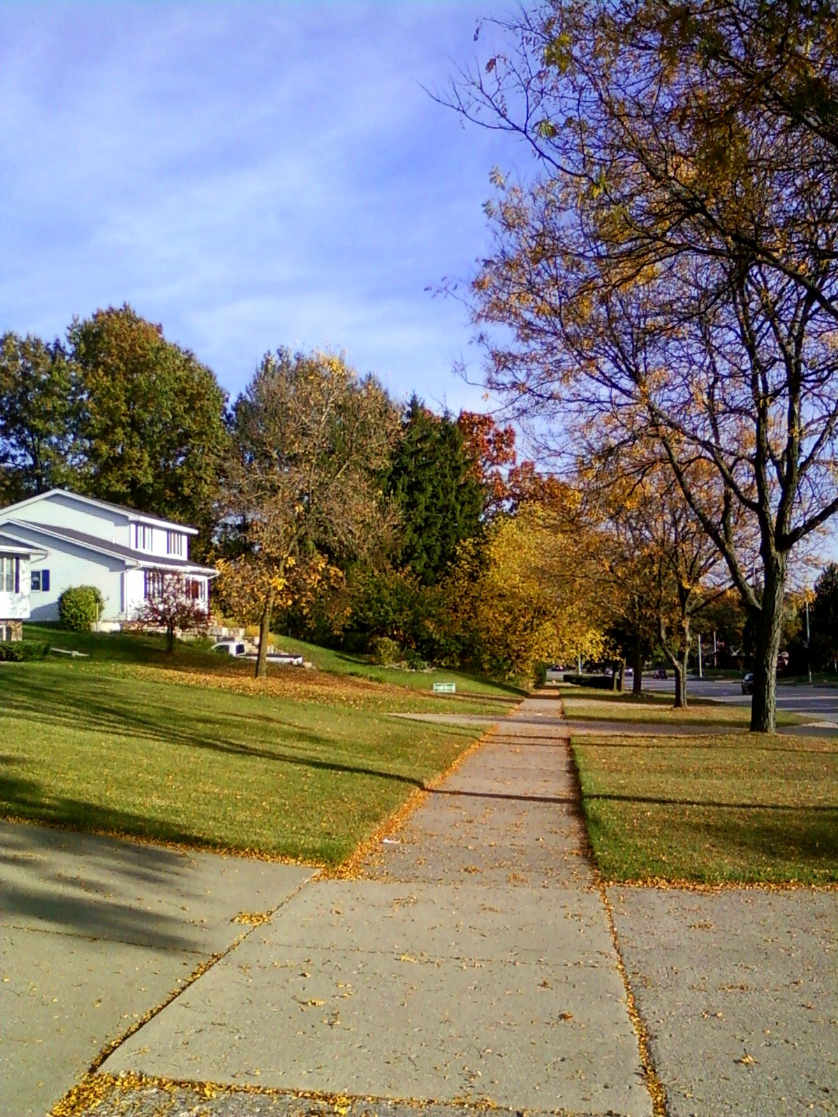 Sound & Life in Grand Rapids, Michigan: Fall in Grand Rapids