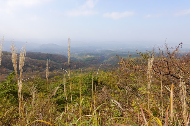 鳥取県西伯郡大山町大山　横手道からの眺望