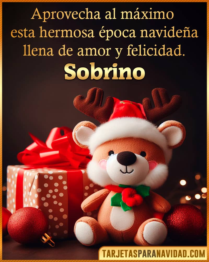 Frase para desear feliz navidad Sobrino