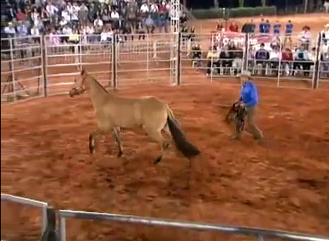 Monty Roberts