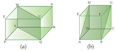 Pengertian Bidang Diagonal dan Contoh Soalnya Berpendidikan