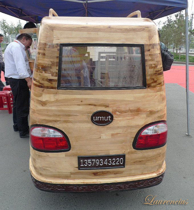 Foto Umut Mobil  Kayu  Bertenaga Listrik dari  China Laurencius