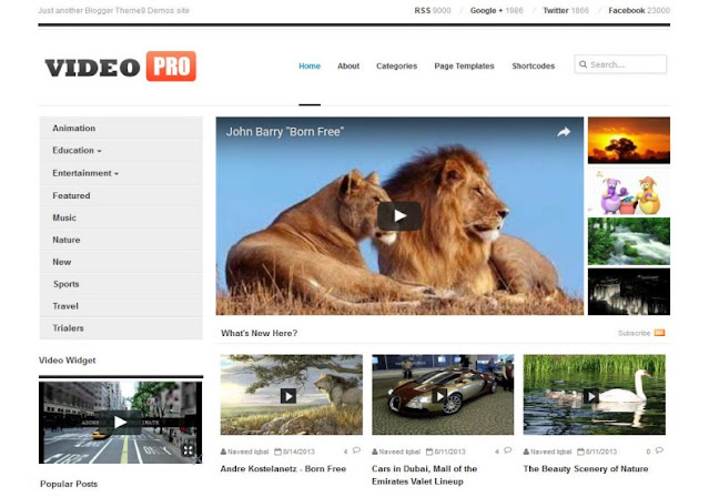 VideoPro Blogger Template