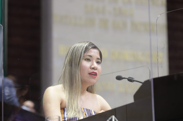 Alejandra Ramírez pide garantizar un trabajo digno a mujeres víctimas de violencia familiar