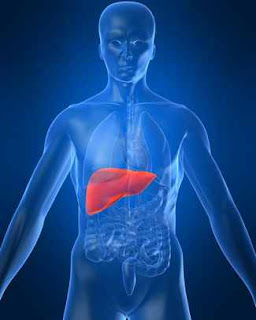 karaciğer büyümesi hepatomegali